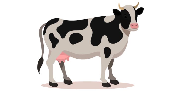 कक्षा 1 के लिए गाय पर निबंध. Essay on cow for class 1 in Hindi
